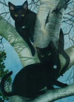Cats In The Trees