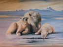 Polar bear family