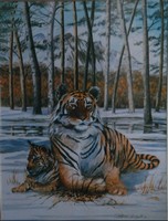 Tiger and her cub